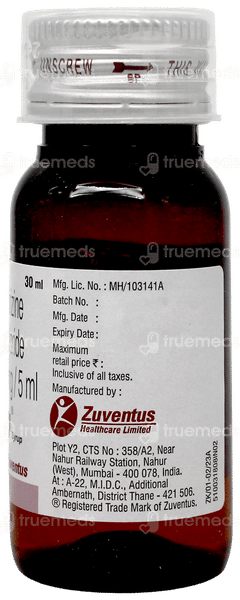 Elriz Syrup 30Ml Elriz Syrup 30Ml
